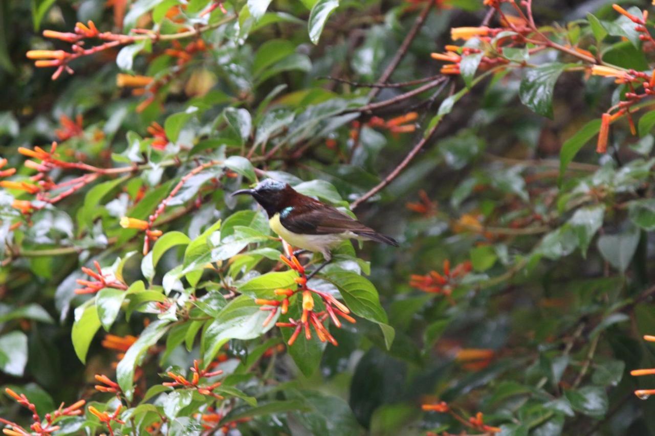 Zeenath Taj Gardens Yelagiri Zewnętrze zdjęcie